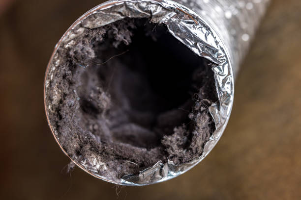 Best Affordable HVAC Duct Cleaning  in Lemoyne, PA