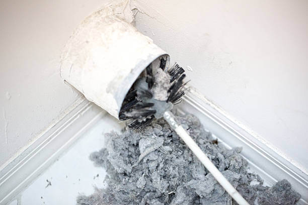 Best Home Air Vent Cleaning  in Lemoyne, PA